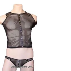 Victor’s Charms/Intouch Crop top in mesh, faux leather